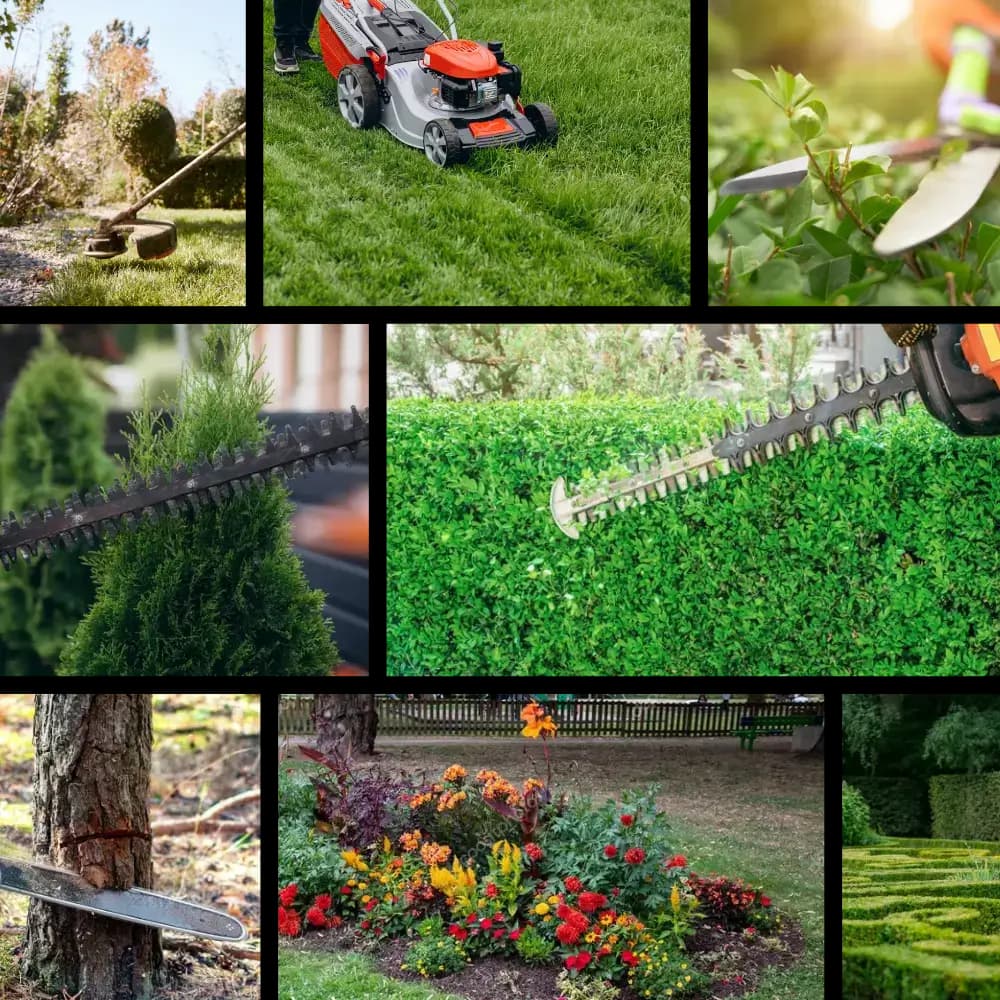 Intervention personnalisée