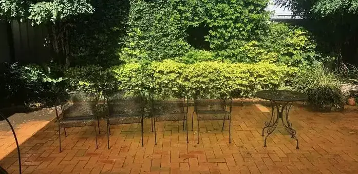 Terrasse après nettoyage