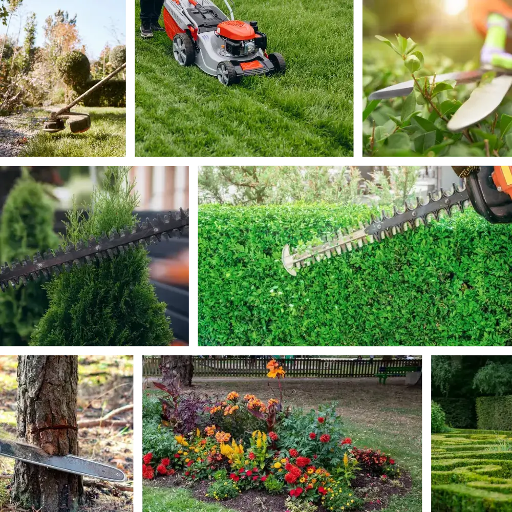 Intervention personnalisée de jardinage