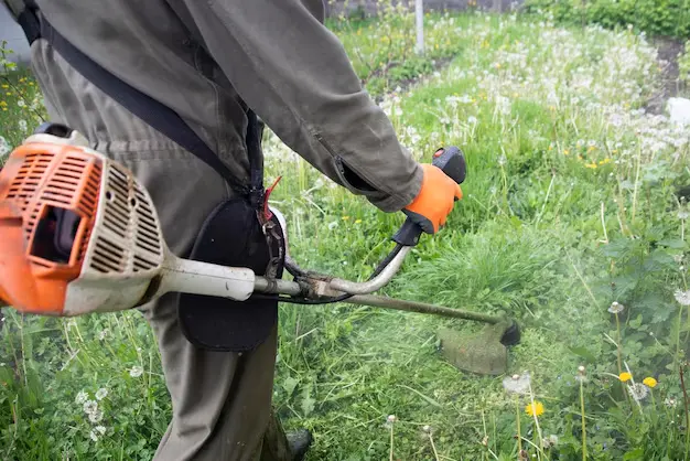 Débroussaillage de terrain en friche